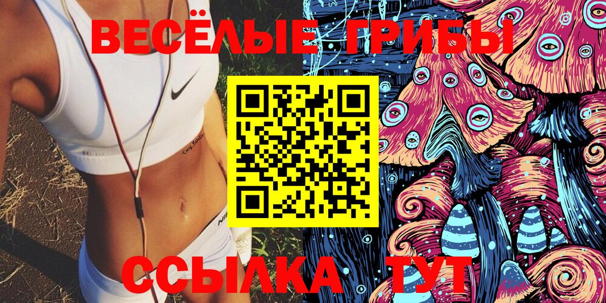 Псилоцибиновые грибы GOLDEN TEACHER Куйбышев