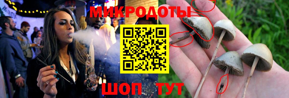 Псилоцибиновые грибы Psilocybe  Псилоцибиновые грибы GOLDEN TEACHER  Куйбышев  Вход с VPN 