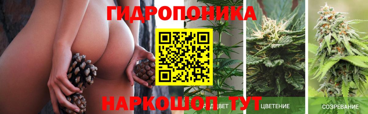Куйбышев  Шишки марихуана SATIVA & INDICA  Канабис SATIVA & INDICA  Шишки марихуана Ganja  Вход с VPN 